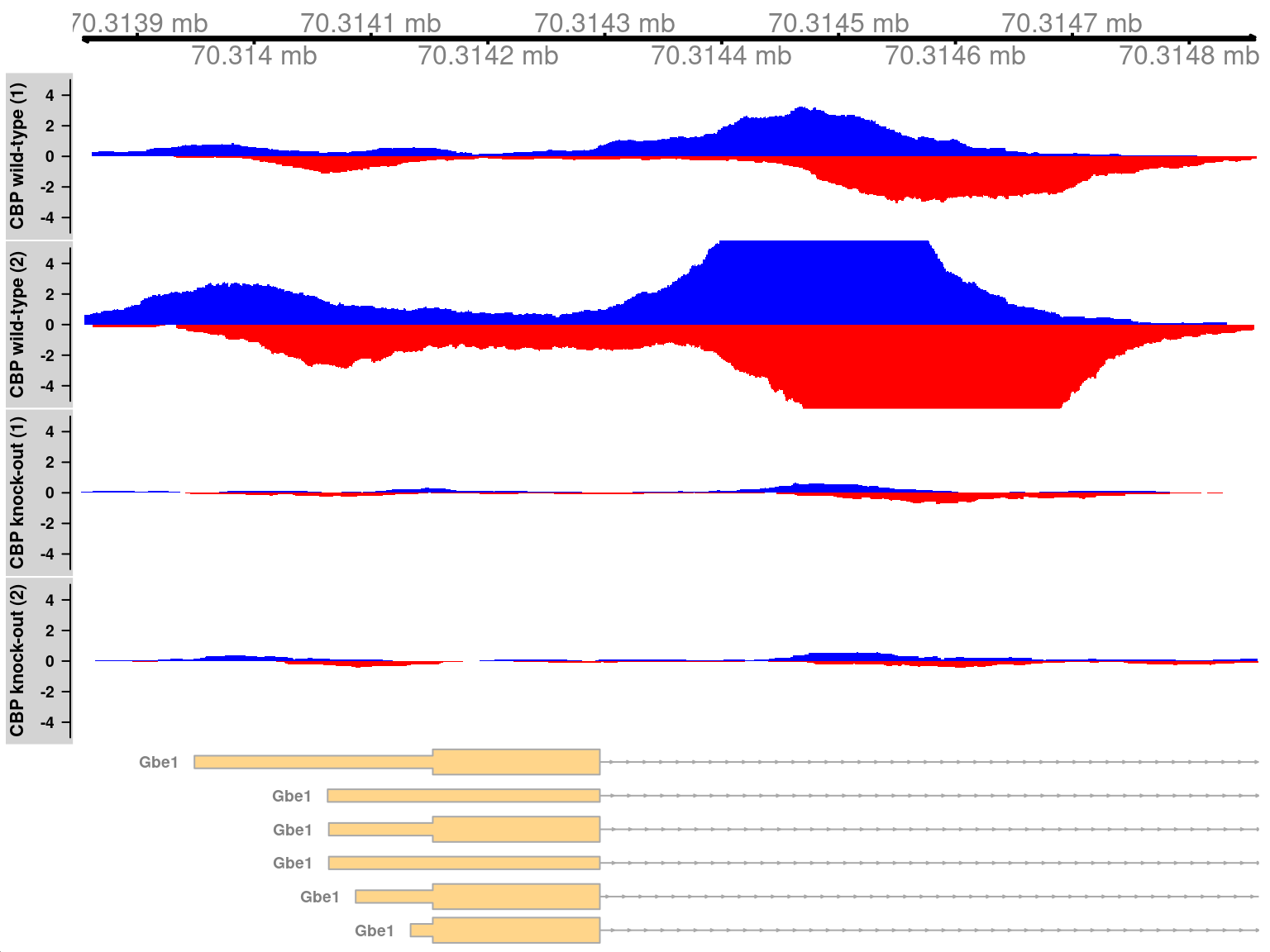 Coverage tracks for TF binding sites that are differentially bound in the WT (top two tracks) against the KO (last two tracks). Blue and red tracks represent forward- and reverse-strand coverage, respectively, on a per-million scale (capped at 5 in SRR1145788, for visibility).