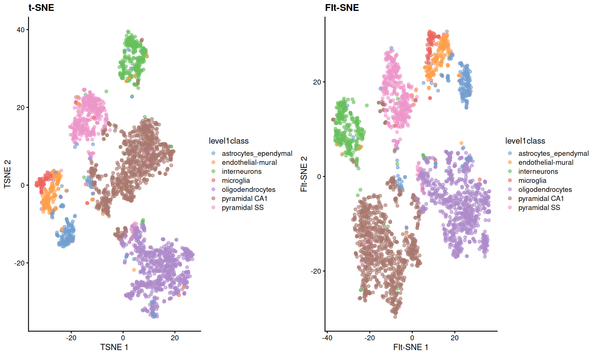 FI-tSNE embedding and Barnes-Hut $t$-SNE embeddings for the Zeisel brain data.