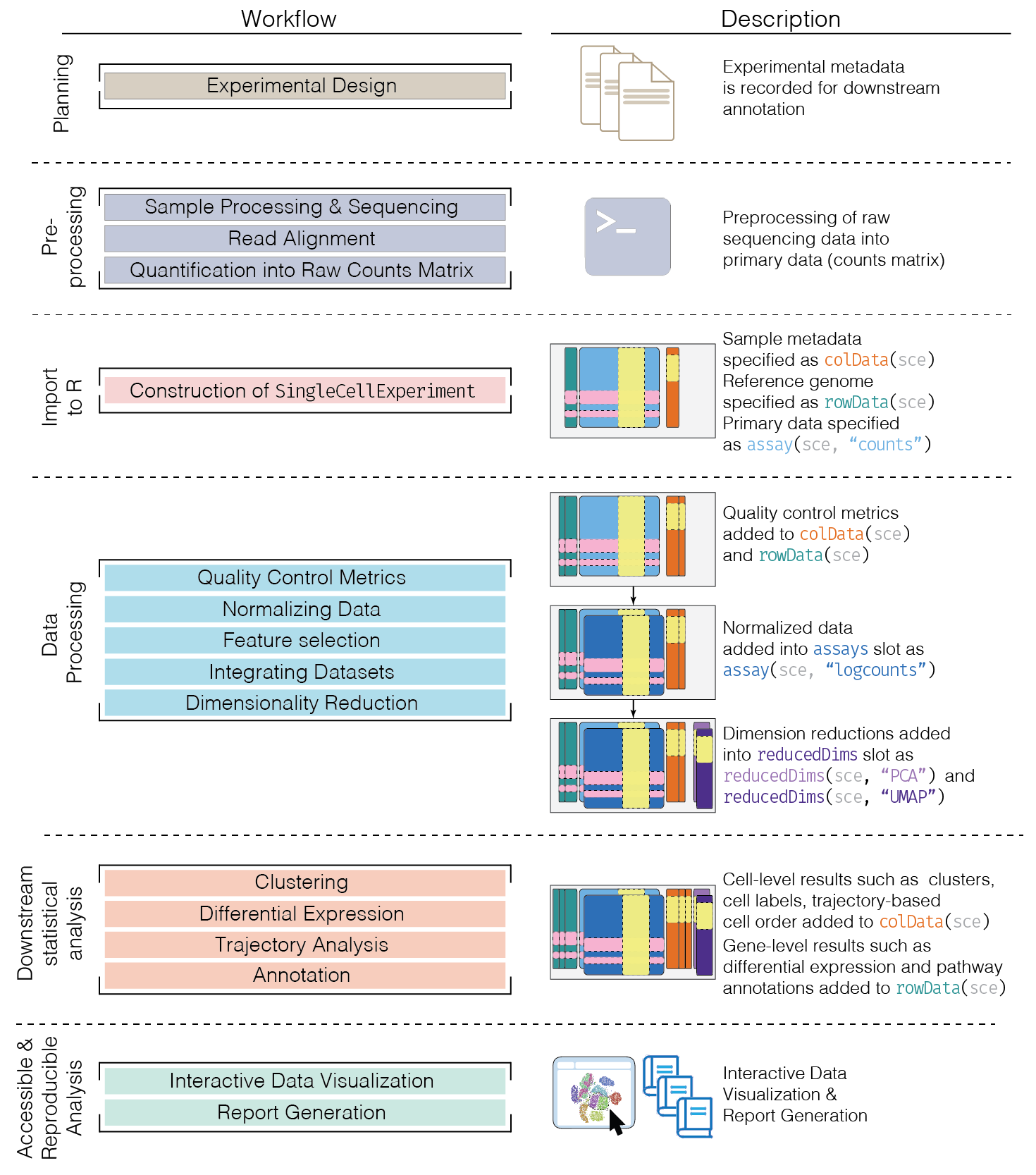 Schematic of a typical scRNA-seq analysis workflow. Each stage (separated by dashed lines) consists of a number of specific steps, many of which operate on and modify a `SingleCellExperiment` instance.