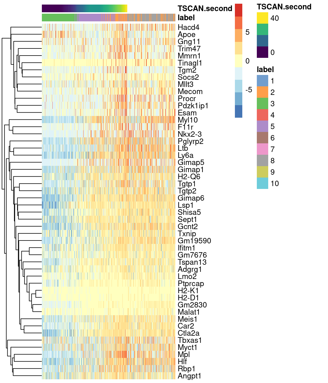 Heatmap of the expression of the top 50 genes that increase in expression with increasing pseudotime along the first path in the MST of the Nestorowa HSC dataset. Each column represents a cell that is mapped to this path and is ordered by its pseudotime value.