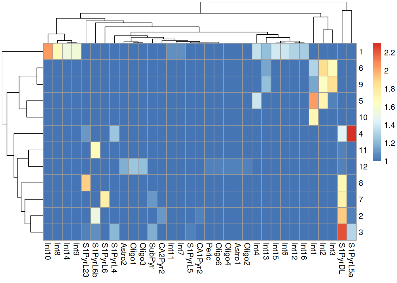 Heatmap of the log-transformed number of cells in each combination of label (column) and cluster (row) in the Tasic dataset.